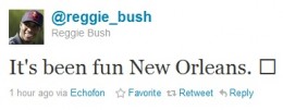 reggie-bush1