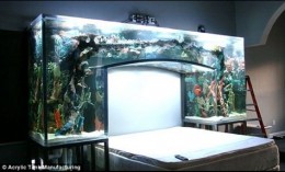 Chad-Ochocinco-Aquarium-1