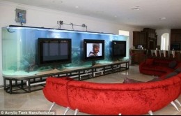 Chad-Ochocinco-Aquarium-2
