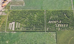 boise-state-corn-maze