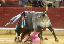 juan-jose-padilla