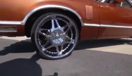 david-wilson-car5