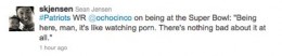 Chad-Ochocinco-Super-Bowl-Porn-1