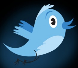 twitter-bird