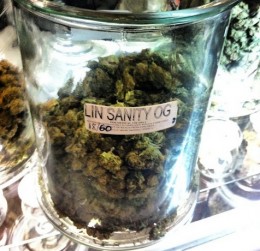 linsanity-weed