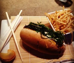 Yu-Darvish-Yu-Dog