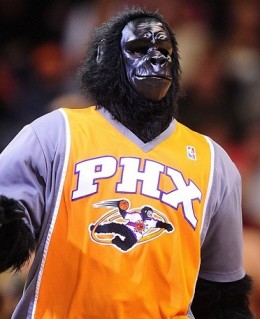 phoenix-suns-gorilla