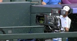 bees-coors-field