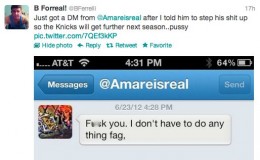 Amare-Stoudemire-calls-follower-a-fag