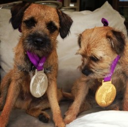 andy-murray-dogs-medals