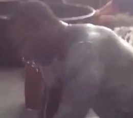 prince-amukamara-cold-tub