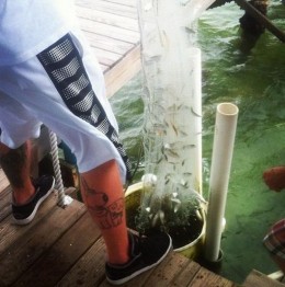 Mat-Latos-Family-Guy-tattoo