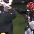 Mike Munchak gets penalty for pushing Reggie Nelson (Video)