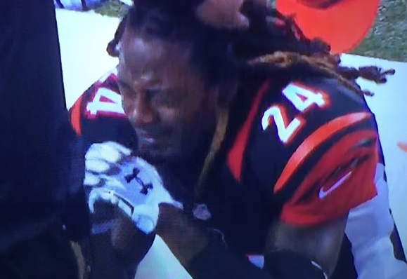 Image result for bengals fans crying