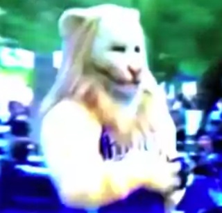 CBS LA shows wrong Kings mascot (Video)