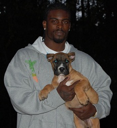 Eagles QB Michael Vick says he was more dedicated to dogfighting than  playbook 