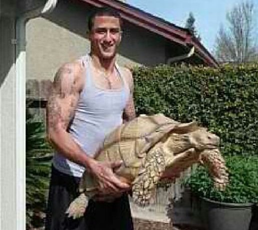 https://larrybrownsports.com/wp-content/uploads/2012/12/Colin-Kaepernick-pet-tortoise.jpg