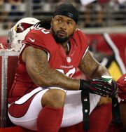 Darnell Dockett gives Pro Bowl jersey to Cardinals fan who helped security  guard