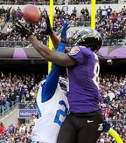 anquan boldin catch