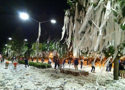 Toomer-Corners-trees-final-roll-5