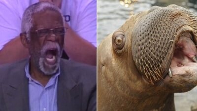 Bill Russell yawn