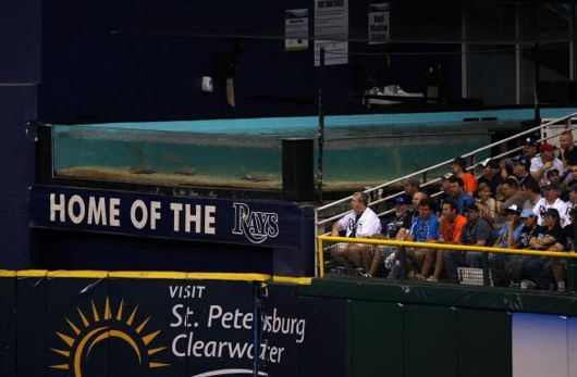 A view of the rays touch tank at Tropicana Field before the game