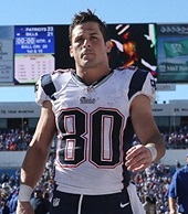 Danny Amendola Patriots