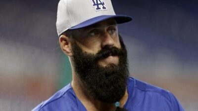 Brian Wilson beard