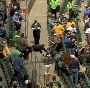 Fan fails in attempt to catch foul ball, falls flat onto cement (GIF ...