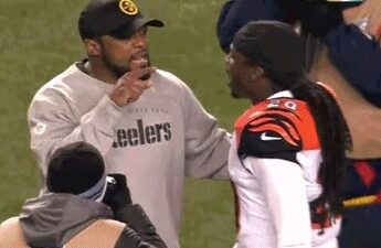 Mike Tomlin Reggie Nelson