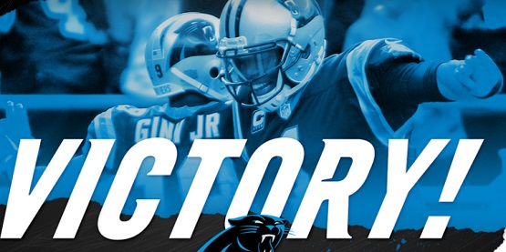 Image result for carolina panthers win