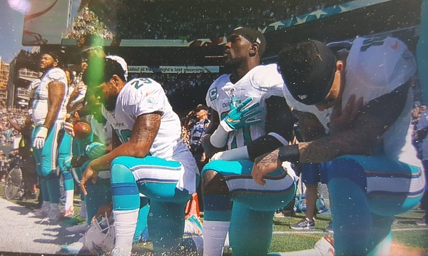 Dolphins protest
