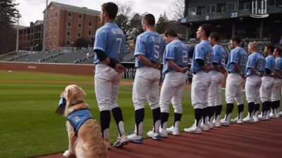 UNC baseball dog remington