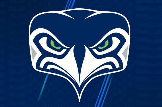 watch seahawks reddit