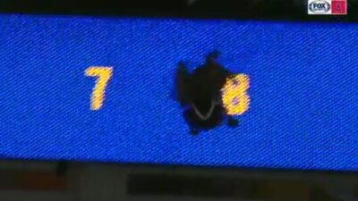 Goose scoreboard