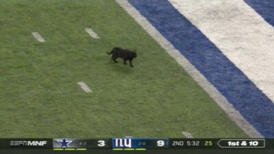 Black cat Monday Night Football