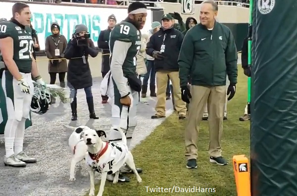 Michigan State football player Josh Butler takes to field with dogs for  Senior Night after losing both parents - ABC7 New York