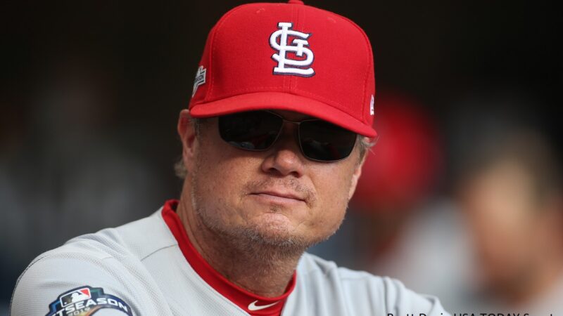 Mike Shildt in the dugout