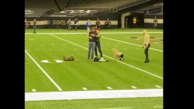 Tom Brady Drew Brees