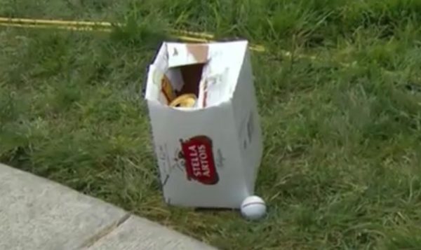 Bryson DeChambeau beer box