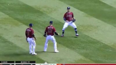 Diamondbacks fielders