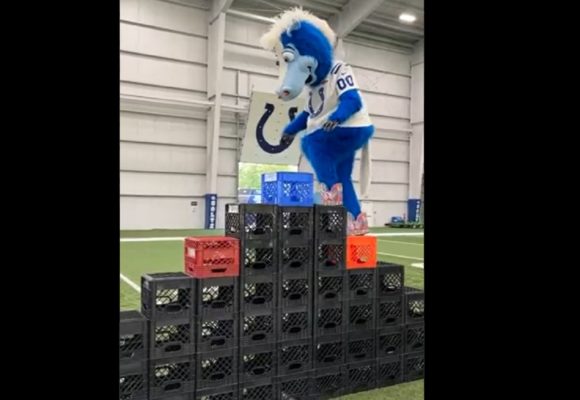 Colts Mascot Blue Crate Challenge