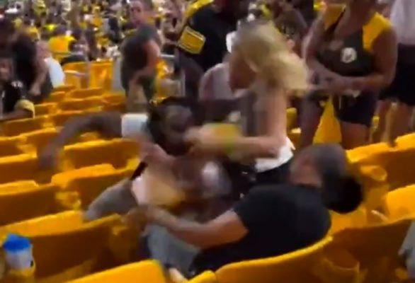 Steelers fan fight