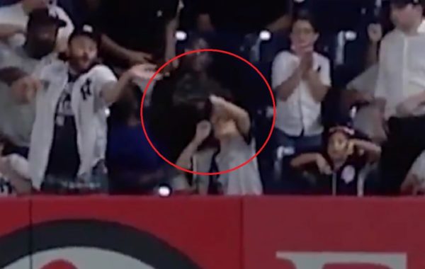 Yankees fan hit head