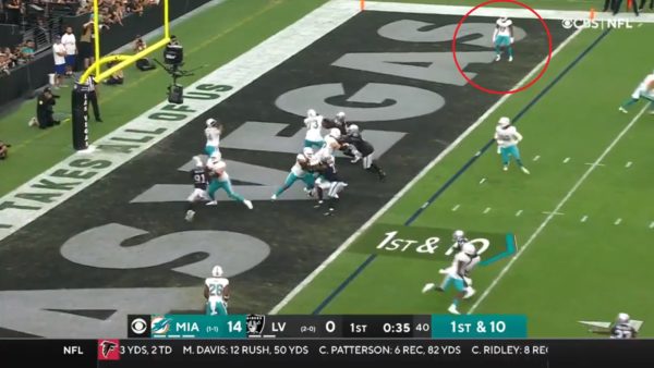 Dolphins bubble safety