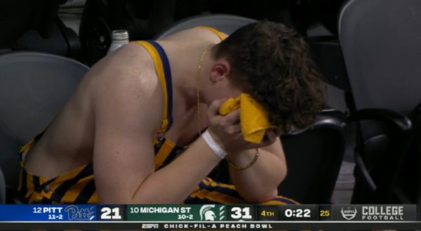 A sad Pitt fan
