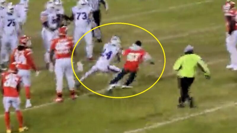 Stefon Diggs hits a fan