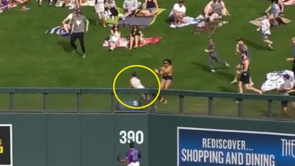 A baseball fan falling down