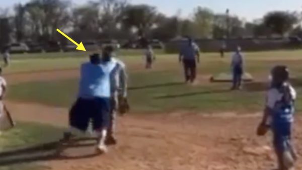 A youth baseball umpire is shoved by a coach