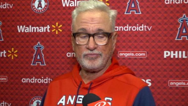 Joe Maddon at a press conference